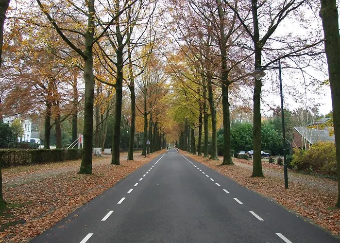 Meneer Pos Bed & Breakfast Velp (Gelderland)